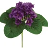 Aldik Home Flowering Bushes<African Violet Bush 8 in. Purple