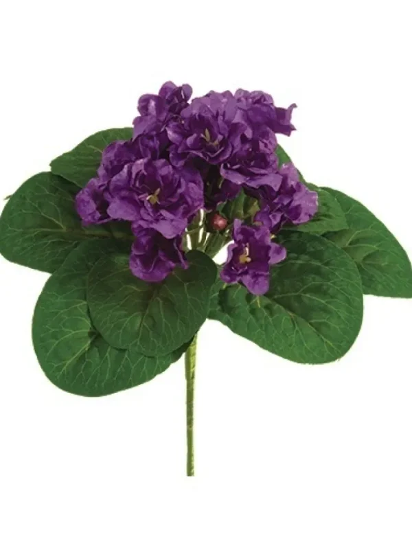 Aldik Home Flowering Bushes<African Violet Bush 8 in. Purple