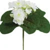 Aldik Home Flowering Bushes<African Violet Bush 8 in. White