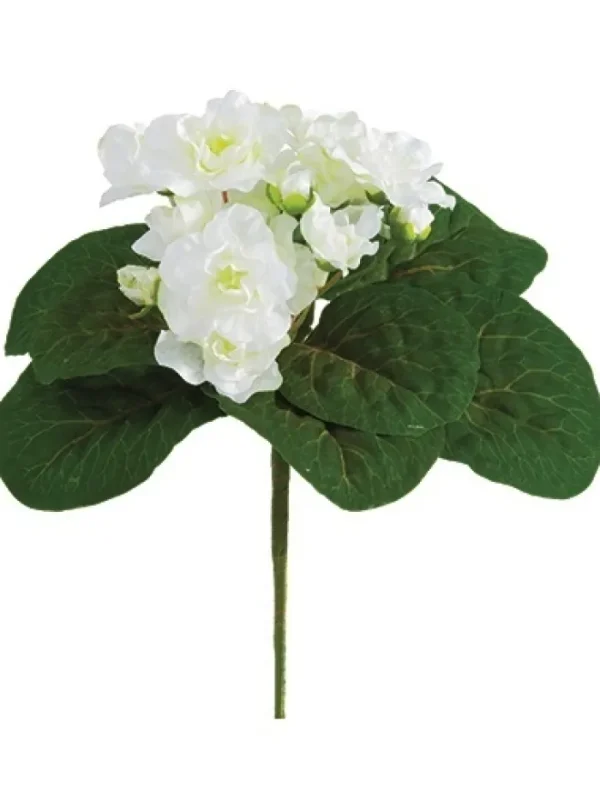 Aldik Home Flowering Bushes<African Violet Bush 8 in. White
