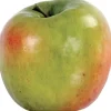 Aldik Home Fruit And Vegetables<Apple Golden Delicious 3 in. Green/Mauve