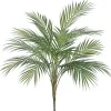 Aldik Home Tropical Plants & Flowers<Areca Palm Plant 35 in.