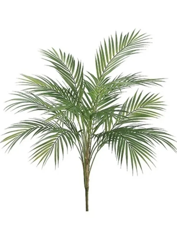 Aldik Home Tropical Plants & Flowers<Areca Palm Plant 35 in.