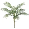 Aldik Home Tropical Plants & Flowers<Areca Palm Plant 34 in.