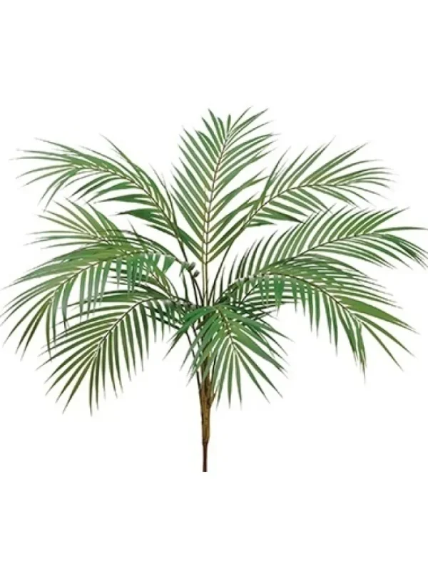 Aldik Home Tropical Plants & Flowers<Areca Palm Plant 38 in.