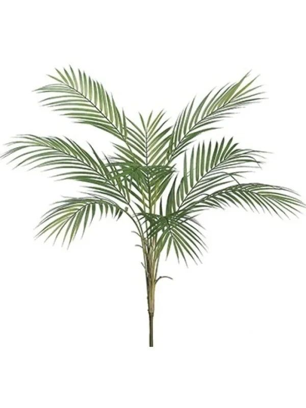 Aldik Home Tropical Plants & Flowers<Areca Palm Plant 34 in.