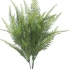 Aldik Home Desk Plants | Tropical Plants & Flowers<Australia Fern Bush 15 in.