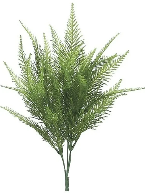 Aldik Home Desk Plants | Tropical Plants & Flowers<Australia Fern Bush 15 in.