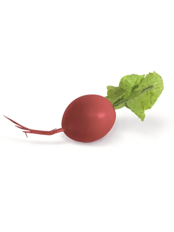 Aldik Home Fruit And Vegetables<Bag of Radishes 3.5 in.