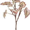 Aldik Home Desk Plants | Tropical Plants & Flowers<Begonia Leaf 23 in. Burgundy / Green