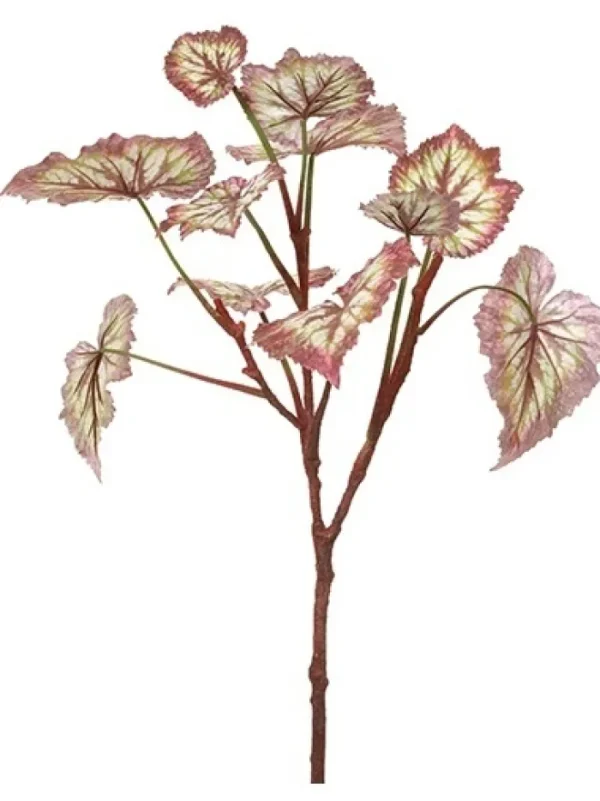 Aldik Home Desk Plants | Tropical Plants & Flowers<Begonia Leaf 23 in. Burgundy / Green