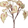 Aldik Home Desk Plants | Tropical Plants & Flowers<Begonia Leaf 23 in. Green / Burgundy