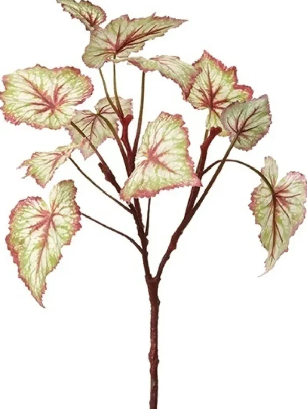 Aldik Home Desk Plants | Tropical Plants & Flowers<Begonia Leaf 23 in. Green / Burgundy