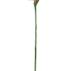 Aldik Home Tropical Plants & Flowers<Bird of Paradise 38 in.