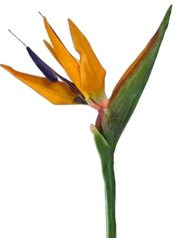 Aldik Home Tropical Plants & Flowers<Bird of Paradise 38 in.