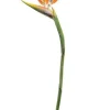 Aldik Home Tropical Plants & Flowers<Bird of Paradise 46 in. Orange