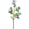 Aldik Home Fruit And Vegetables<Blueberry Spray