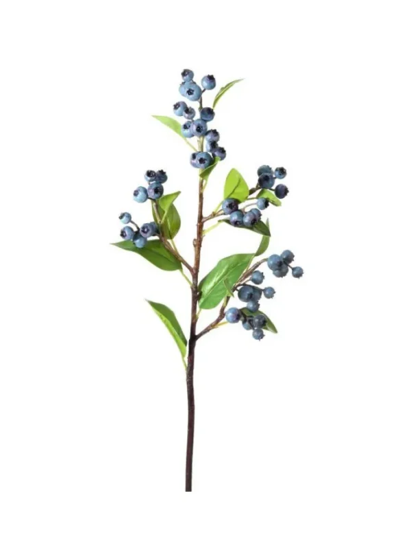 Aldik Home Fruit And Vegetables<Blueberry Spray