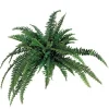 Aldik Home Tropical Plants & Flowers<Boston Fern 48 in.