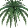 Aldik Home Tropical Plants & Flowers<Boston Fern 82 in.