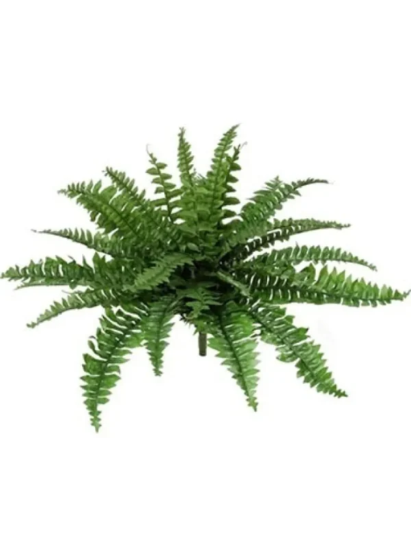 Aldik Home Tropical Plants & Flowers<Boston Fern 28 in.