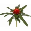 Aldik Home Desk Plants | Tropical Plants & Flowers<Bromeliad 15 in.