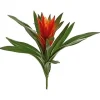 Aldik Home Desk Plants | Tropical Plants & Flowers<Bromeliad 16 in. Burgundy