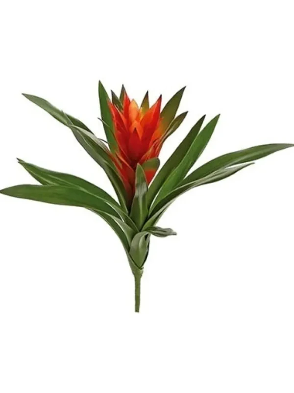 Aldik Home Desk Plants | Tropical Plants & Flowers<Bromeliad 16 in. Burgundy