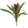 Aldik Home Desk Plants | Tropical Plants & Flowers<Bromeliad 16 in. Burgundy