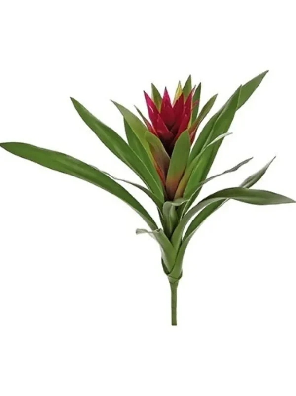 Aldik Home Desk Plants | Tropical Plants & Flowers<Bromeliad 16 in. Burgundy