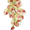 Aldik Home Tropical Plants & Flowers<Caladium Hanging Bush 21 in. Pink