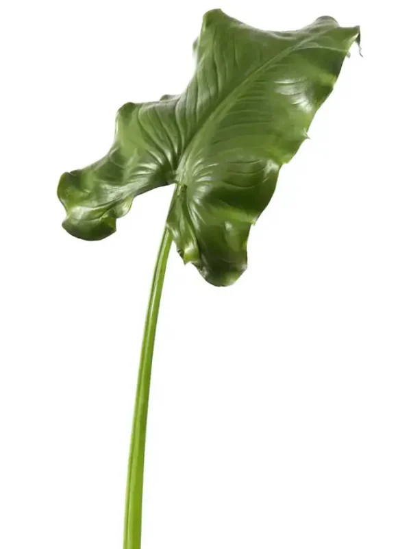 Aldik Home Tropical Plants & Flowers<Calla Leaf Giant 51.5 in. Green
