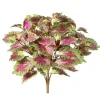 Aldik Home Desk Plants<Coleus Bush 18 in. Green / Purple