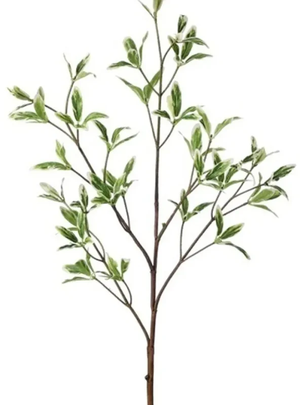Aldik Home Artificial Tree Branches | Tropical Plants & Flowers<Coprosma 31 in. Green / White