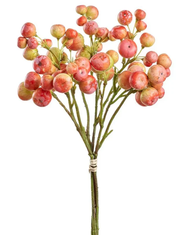 Aldik Home Fruit And Vegetables | Desk Plants<Crabapple Bundle X3 14in-Orange