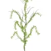 Aldik Home Tropical Plants & Flowers<Creeping Plagiomnium 40 in. Green
