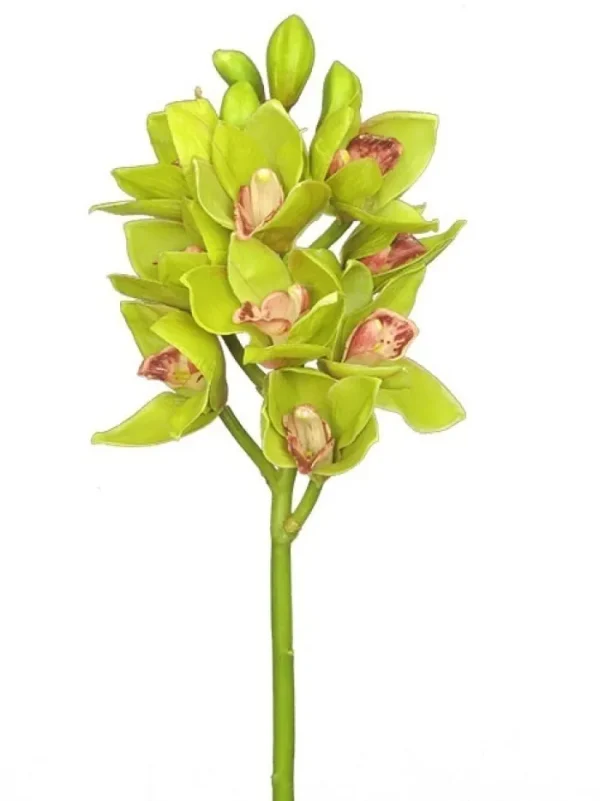 Aldik Home Silk Orchids<Cymbidium Orchid 19 in. Green