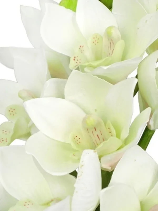 Aldik Home Silk Orchids<Cymbidium Orchid 19 in. White