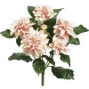 Aldik Home Flowering Bushes<Dahlia Bush 19.5 in. Pink / Cream