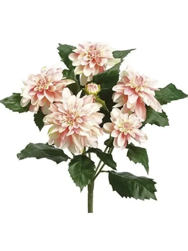 Aldik Home Flowering Bushes<Dahlia Bush 19.5 in. Pink / Cream