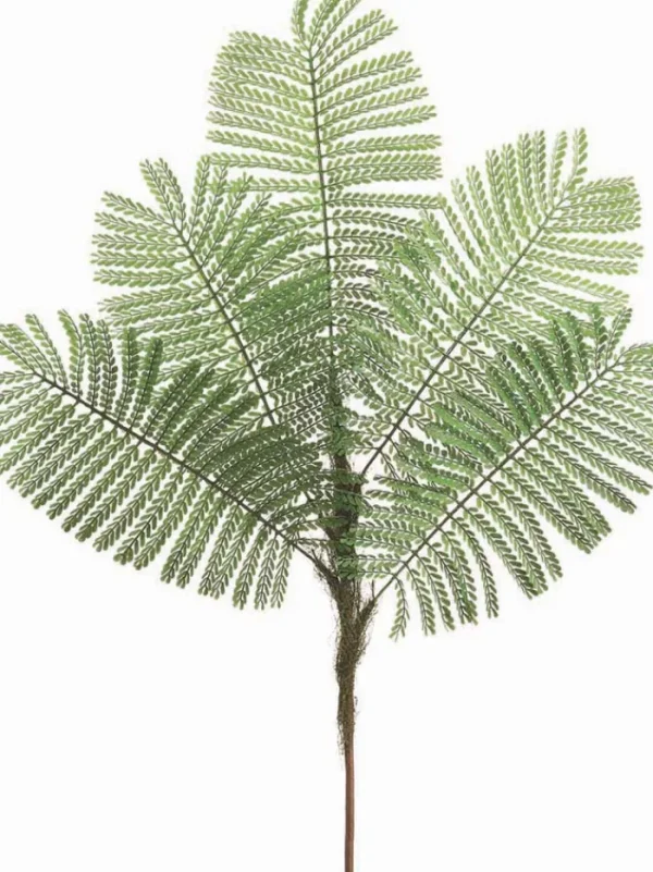 Aldik Home Tropical Plants & Flowers<Delonix Regia Leaf Spray 44 in. Green