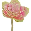 Aldik Home Echeverias<Echeveria 7 in. Mauve