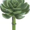 Aldik Home Echeverias<Echeveria Pick 5 in. Green / Grey