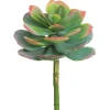 Aldik Home Echeverias<Echeveria Spray 10 in. Green/Pink
