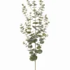 Aldik Home Artificial Tree Branches | Tropical Plants & Flowers<Eucalyptus Spray 57 in. Green/ Gray