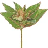 Aldik Home Desk Plants | Tropical Plants & Flowers<Evergreen Plant 17 in. Green