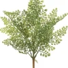 Aldik Home Desk Plants | Tropical Plants & Flowers<Fern Bush 17 in.