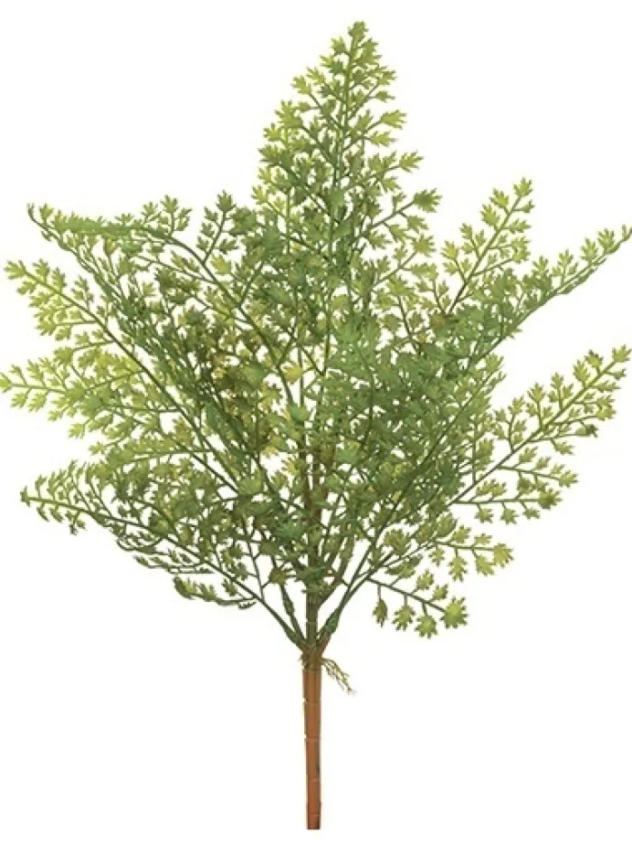 fern_bush__in_0.webp Aldik Home Desk Plants | Tropical Plants & Flowers<Fern Bush 17 in.