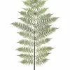 Aldik Home Tropical Plants & Flowers<Fern Spray 94 in. Green