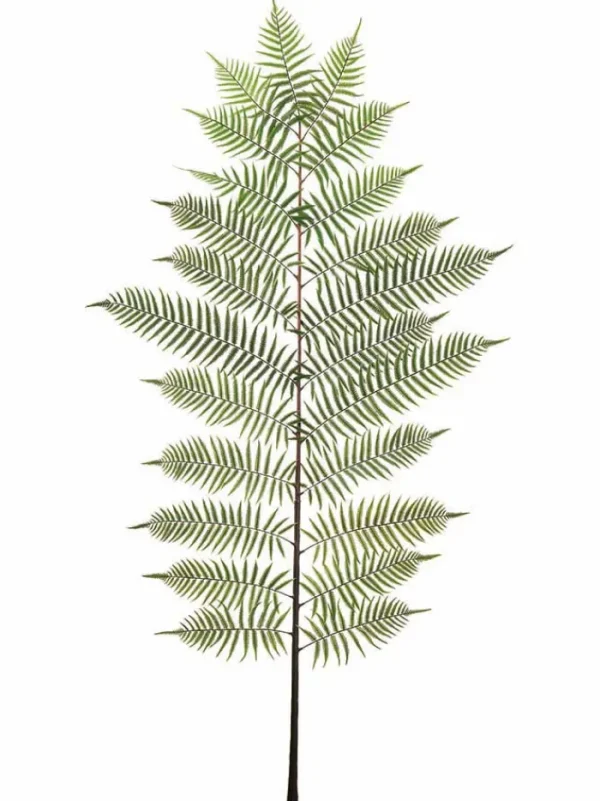 Aldik Home Tropical Plants & Flowers<Fern Spray 94 in. Green